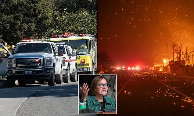 Palisades councilmember blasts city after shocking doc on wildfires