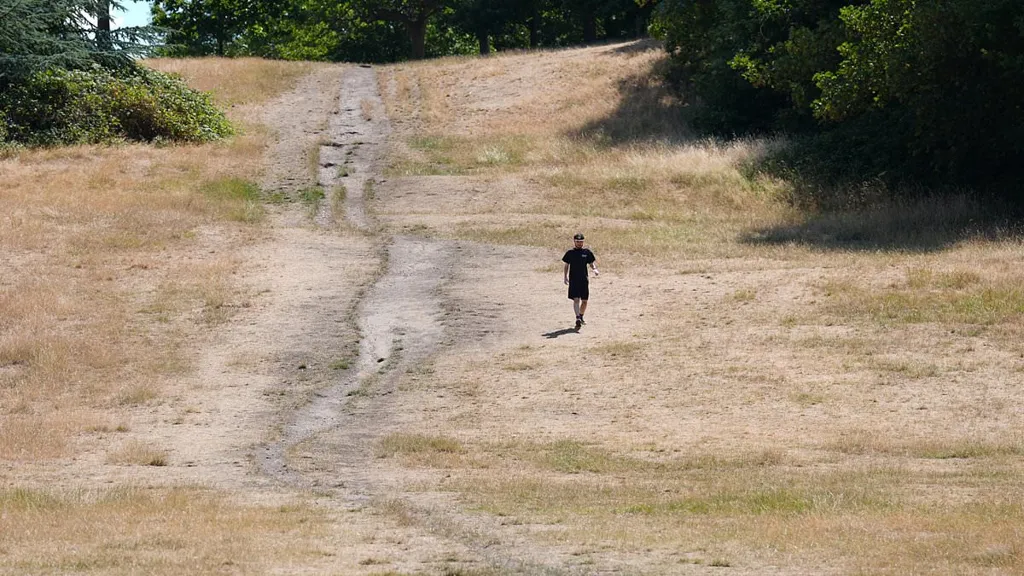 Images show drought-hit England amid heatwave