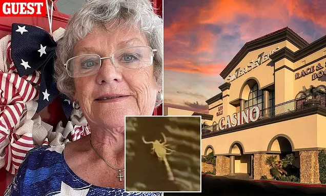 'Convenient' Las Vegas hotel where guests keep being bit by SCORPIONS