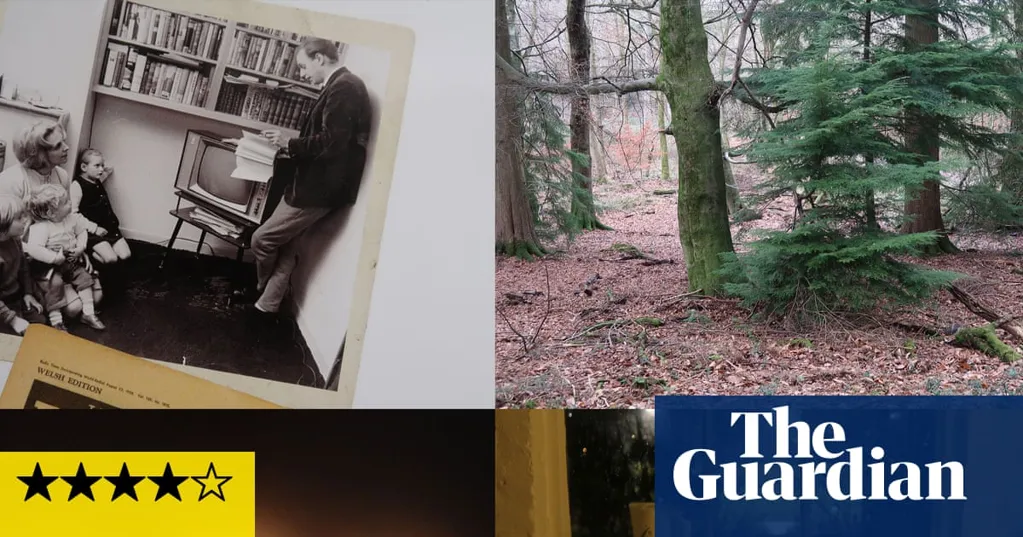 Hilary Lloyd review: on Dennis Potter's trail through an enchanted forest of film