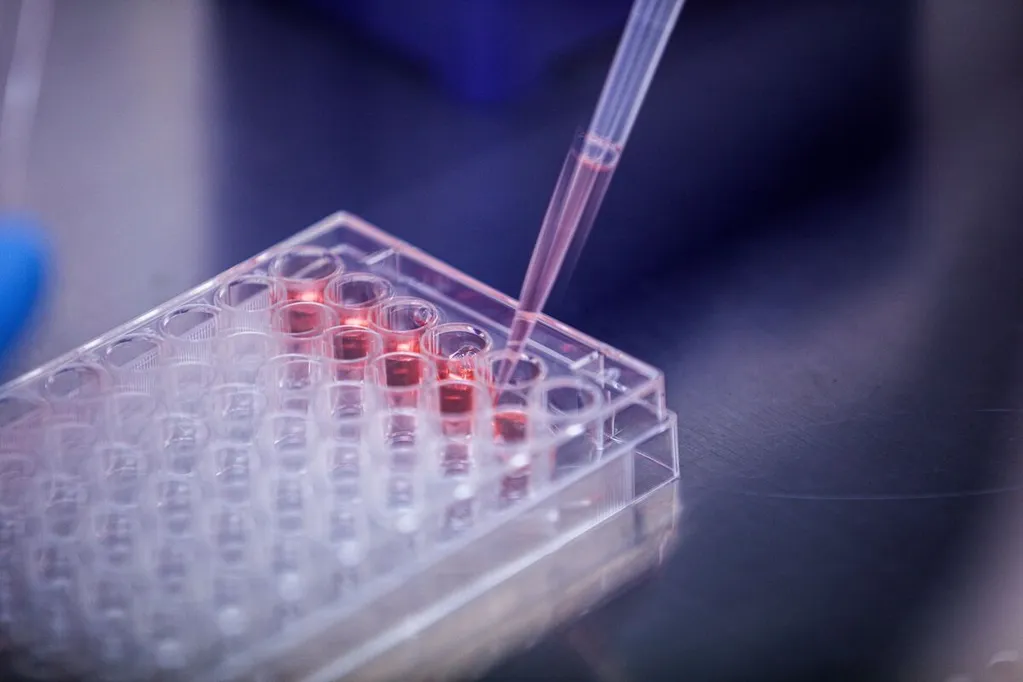 Obesity Treatment Firm Kailera Upsizes IPO to Raise $625 Million