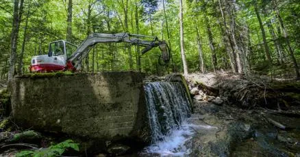Vermont Dam Mapper tracks progress in river restoration