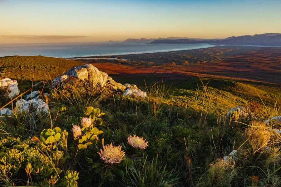 Inside The World's Smallest And Rarest Floral Kingdom - And The Luxury Reserve That's Protecting It