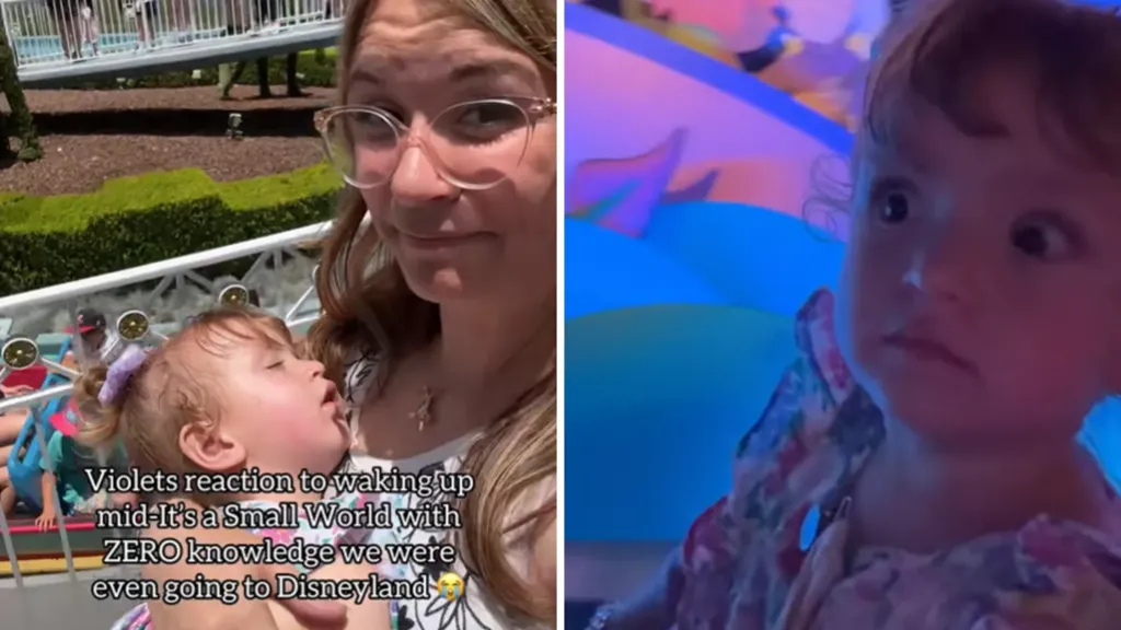 Toddler falls asleep, reaction when she wakes up in Disneyland is priceless