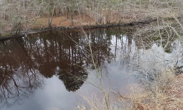 Group says New Jersey toxic waste dumping caused $1B in harm, calls...