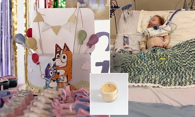 Dusty's mum was baking a Bluey cake when the unthinkable happened