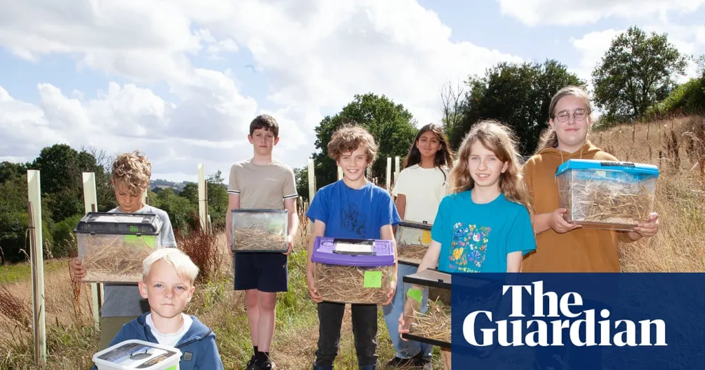 'I'm proud of them going out into the world': Young naturalists on their quest to save harvest mice