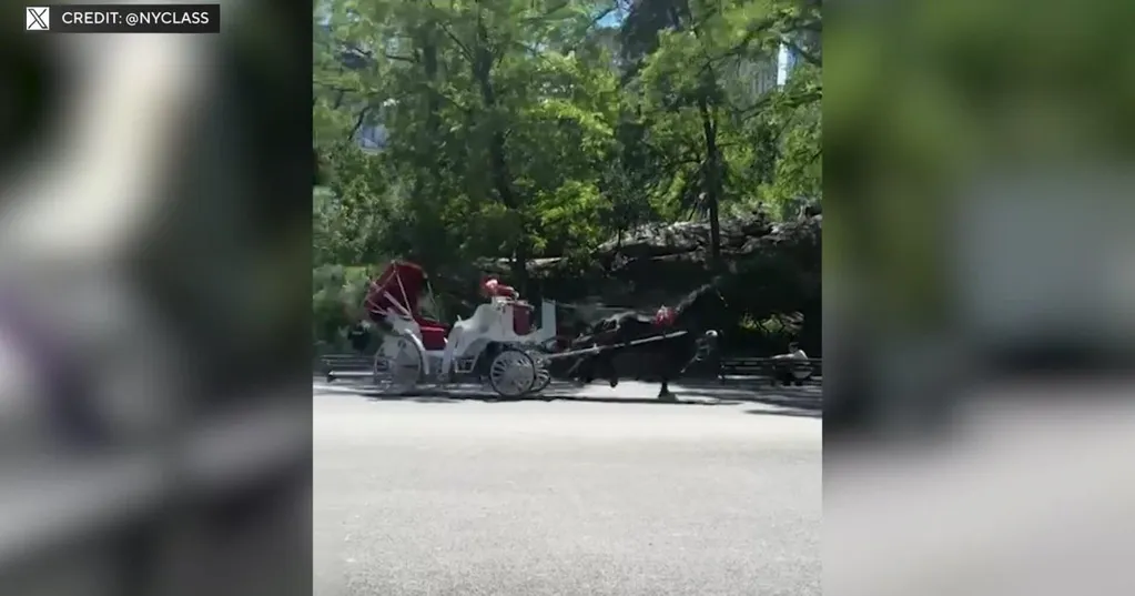 Video of runaway carriage horses in Central Park sparks renewed calls to shut down industry