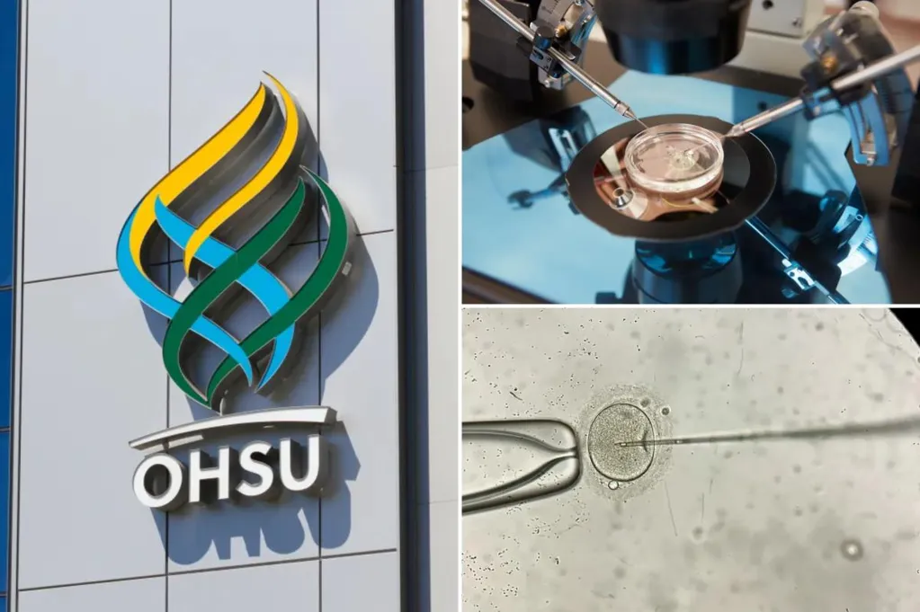 Hospital inseminates woman with wrong man's sperm - family only...