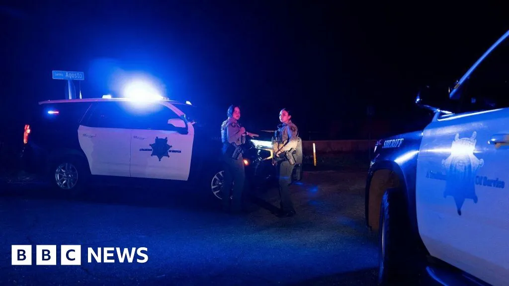 Nancy Guthrie: Police detain person of interest as search continues