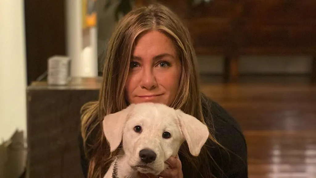 Jennifer Aniston panics after accidentally leaking private detail