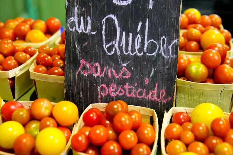More Culinary Wonders In Montreal