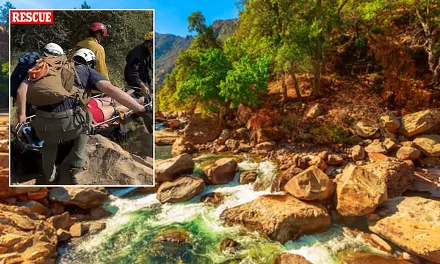 Race to save woman who texted loved one for help post-rattlesnake bite