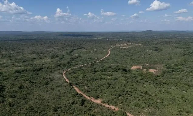 Protected forests under threat in DRC's lucrative mining belt