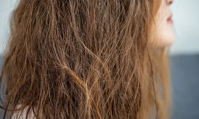 Suffer from 'central heating hair'? Sam McKnight on exactly what to do