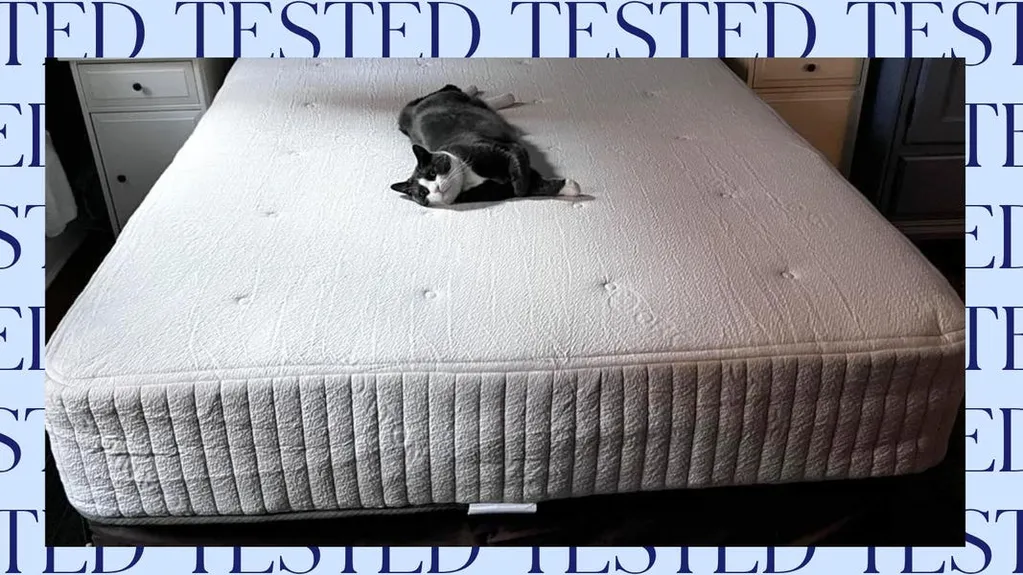 Avocado Eco Organic Mattress Review 2026: Tested For Support And Comfort