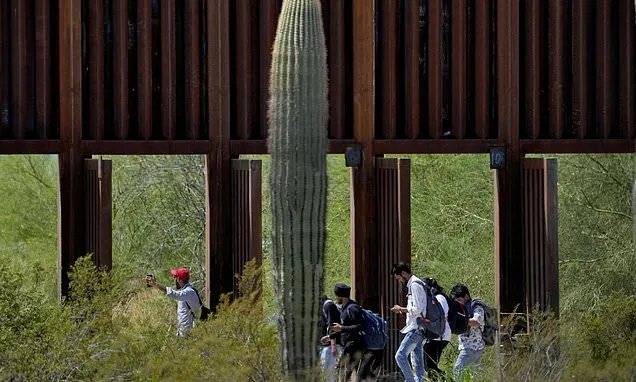 Voters in battleground Arizona to decide if local agencies can...
