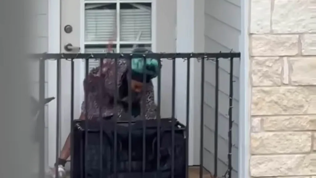 Woman sparks fury after being filmed beating her puppy on balcony