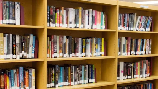 Maryland Is Currently Ranked Ninth In State Book Bans - The BayNet