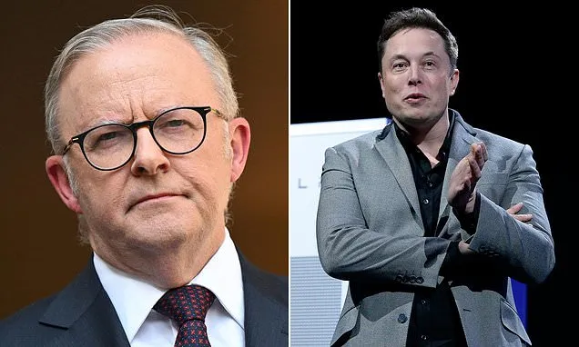 Albo slams Elon Musk-owned platform over 'abhorrent' feature