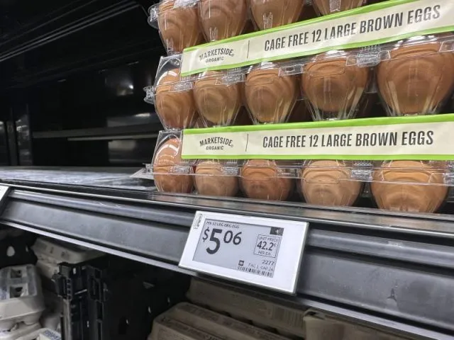 Check your fridge: Eggs recalled over salmonella outbreak