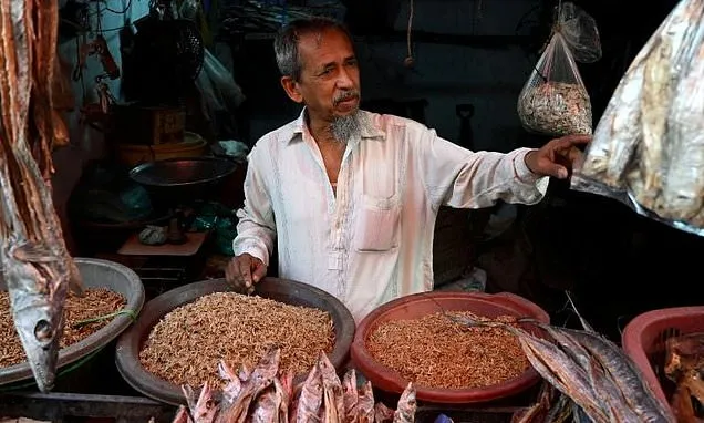 'I will go': Bengalis in Pakistan hope for family reunions