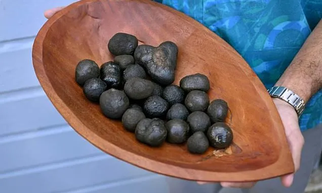 'Significant declines' in some species after deep-sea mining: research