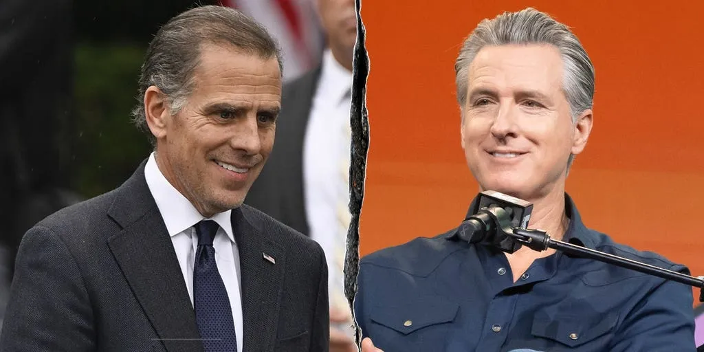 Hunter Biden trashes Democratic leadership, hails Gavin Newsom as party's 'greatest warrior'