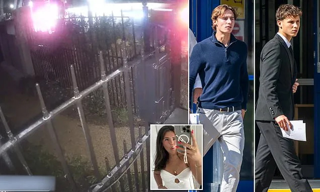 Family of student seriously injured by 'idiot' brothers appeal