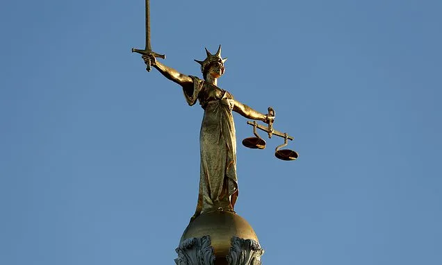 Court reforms proposed to 'reduce risk of total system collapse´ -...