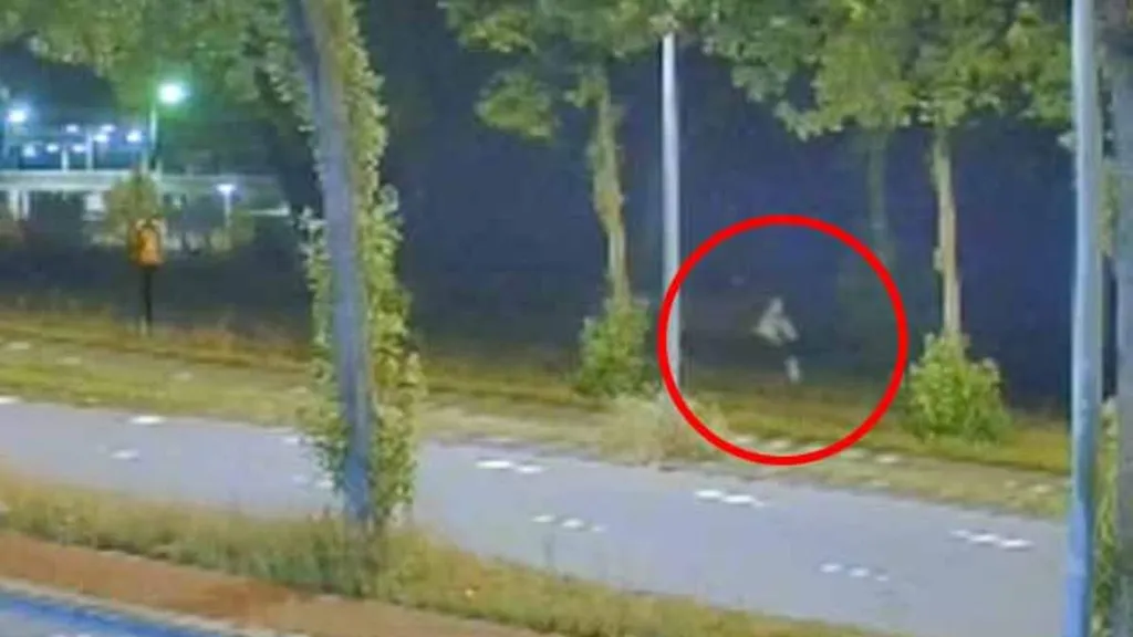 Girl stabbed to death in the Netherlands was middle-class student
