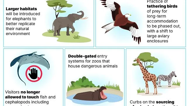 Britain's zoo OVERHAUL - including larger habitats for elephants