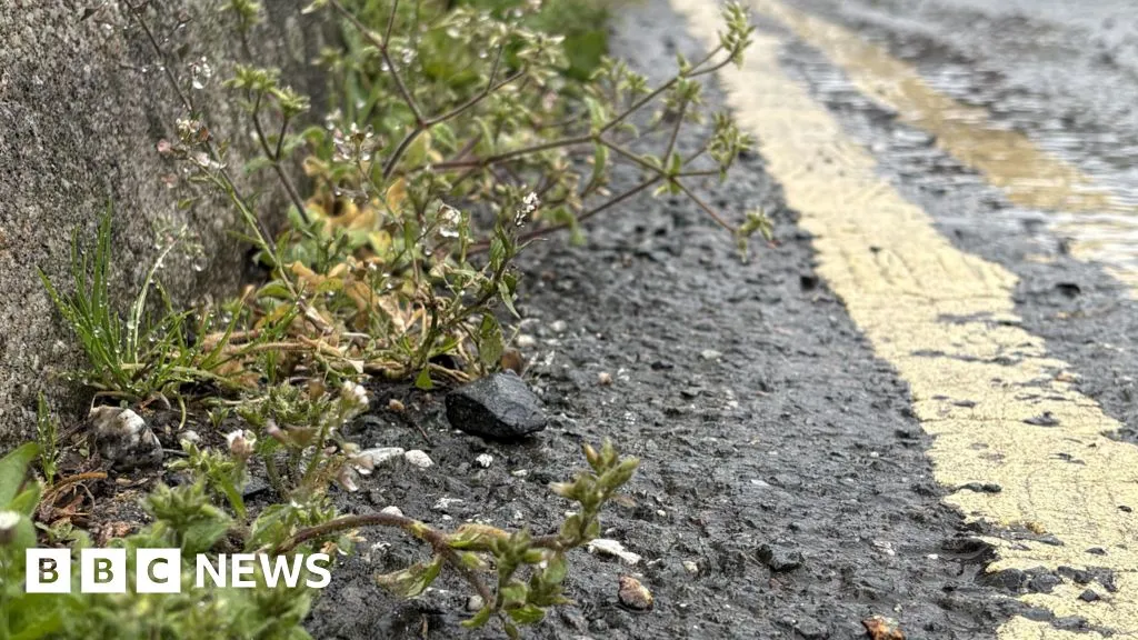 Cornwall Council urged to drop plans to re-introduce weedkiller