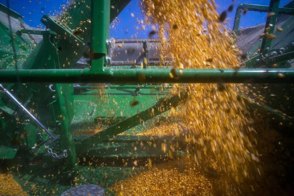 Crop Prices Hit Highest Since 2023 as War and Bad Weather Bite