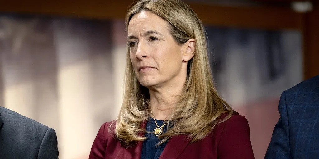 Dem gubernatorial nominee facing heat for taking donations from CCP-linked tycoon: 'Disqualifying'