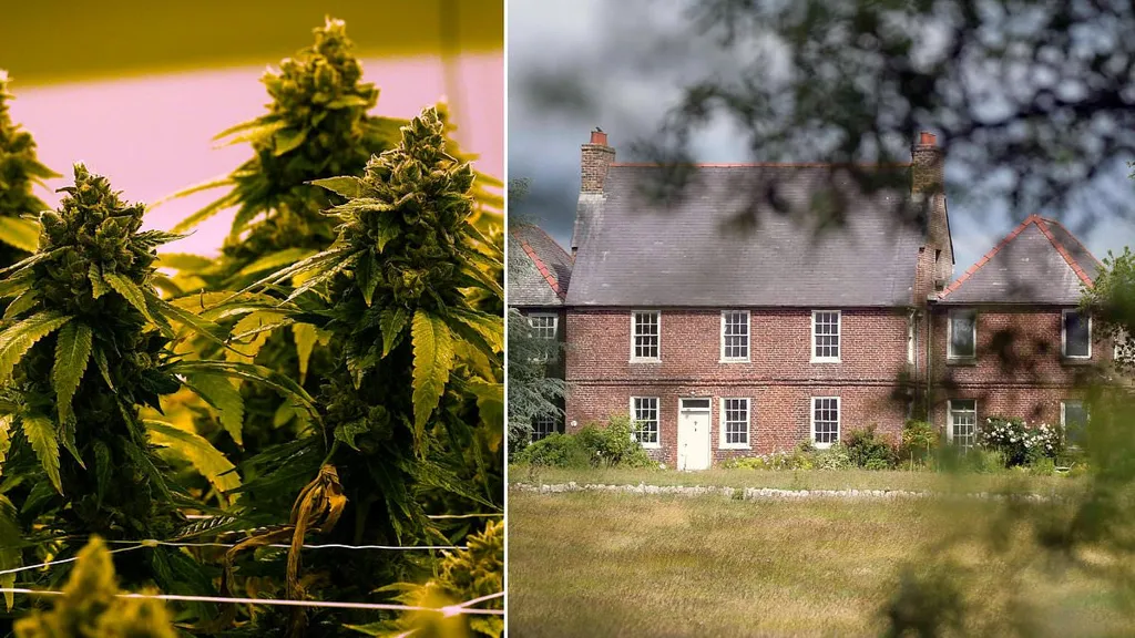 SNP politician, 71, charged after police find cannabis farm at home