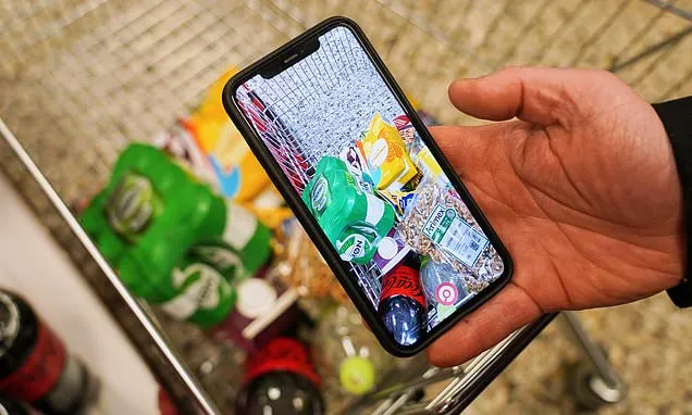 Greenland crisis boosted Danish apps designed to identify and help...